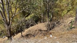 70 apartment low income family development in heredia view 005