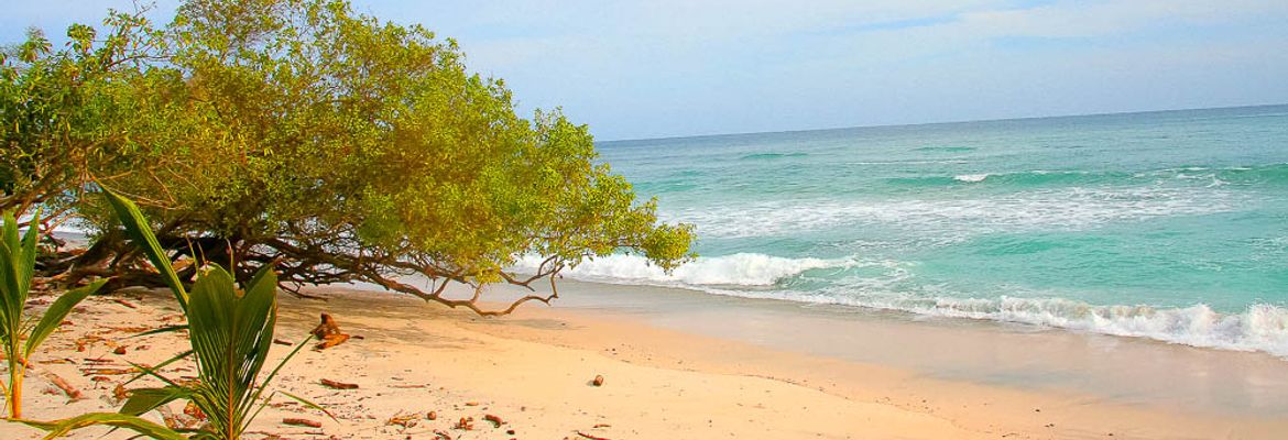 playa rosada nosara 1