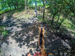 at the tip of a hill drapped in forest horseback riding rincon de la vieja