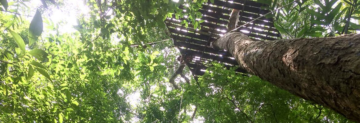 looking up at rappel wingnuts 1