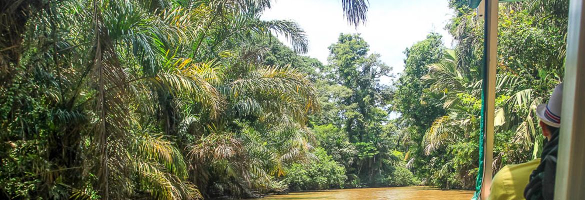 tortuguero all inclusive tour page suerte river 1