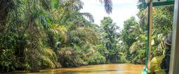 tortuguero all inclusive tour page suerte river 1