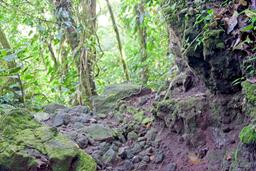 rocky trail arenal volcano 1968 eruption site lookout point