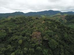 agricultural land for sale one hour away from liberia airport view 001