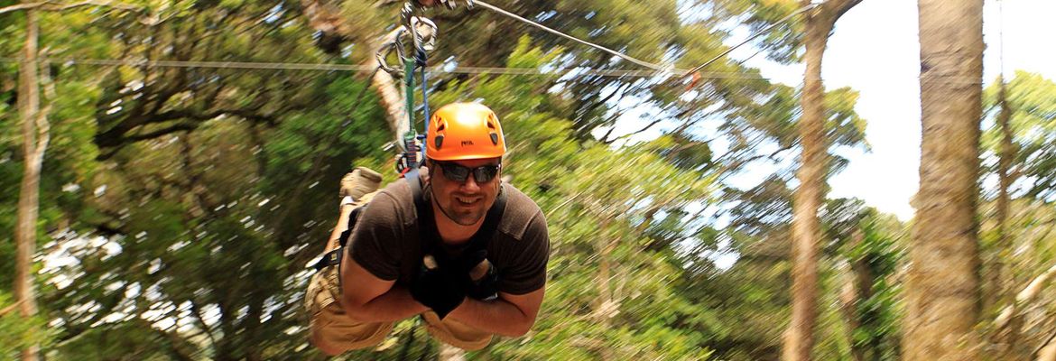 100 percent aventura superman incoming person