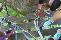 looking down from wingnutscanopy 13