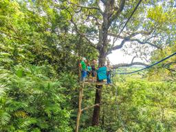 tree platform tizati zip line rincon de la vieja