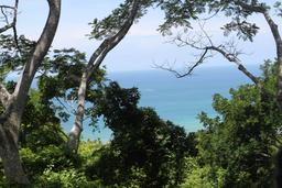 panoramic wingnutscanopytour 6