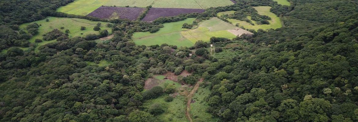 agricultural land for sale one hour away from liberia airport view 002