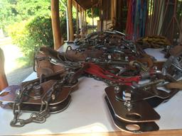 equipment ready at wingnutscanopy 11