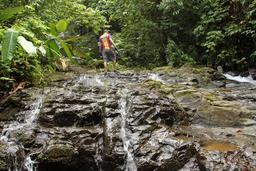 bamboo forest moutain bike tour walking upstream 6