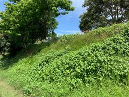 adjacent lots available in up in the hills of heredia buy one or all view 009