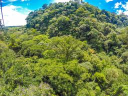 lateral forest view from the tizati zip line rincon de la vieja