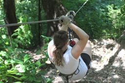 zipling wingnutscanopy 3