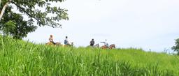 three tourist at a mountain ridge horseback riding