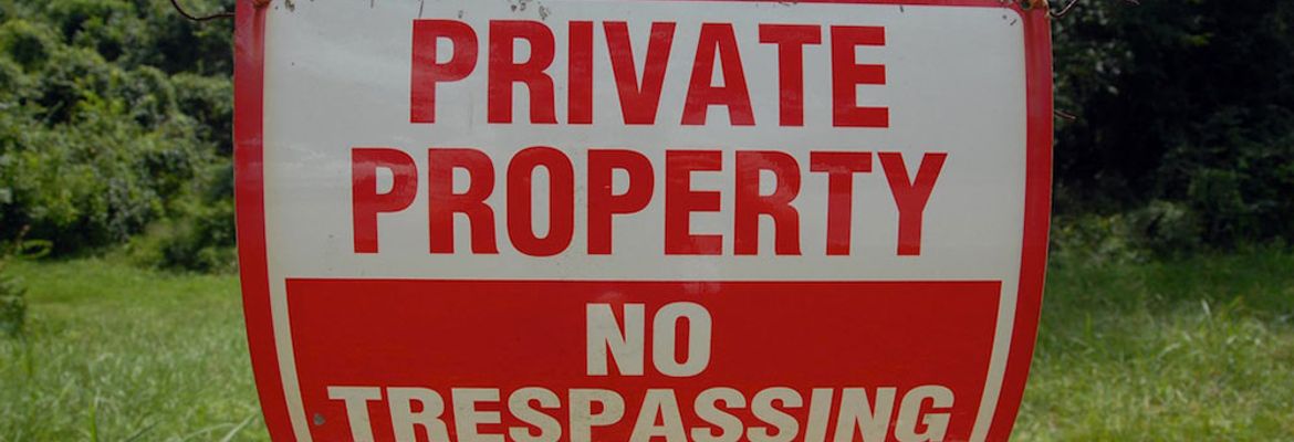 protecting your investment