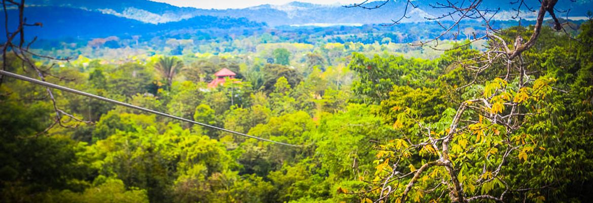 view from last platform osa palmas canopy tour