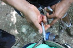 getting hooked in wingnutscanopy 12