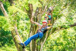 young lady zip linging from a tree platform tizati zip line rincon de la vieja