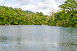 rio claro rivermouth corcovado national park