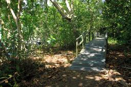 cahuita national park snorkeling hiking tour marsh bridge 3