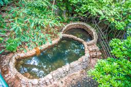 stand alone warm cement pool hot springs pools rincon de la vieja