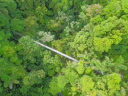 arenal hanging bridges mistico park main bridge aerial view