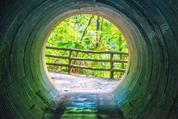 jumping vit viper tunnel hanging bridges mistico park