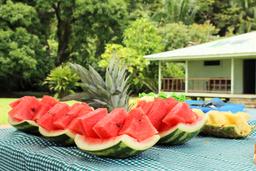 watermelon san pedrillo ranger station corcovado national park