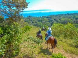descending the mountain horseback rapelling tour rancho tropical matapalo