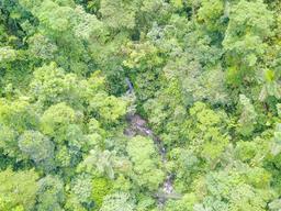 creek aerial view inside arenal hanging bridges mistico park