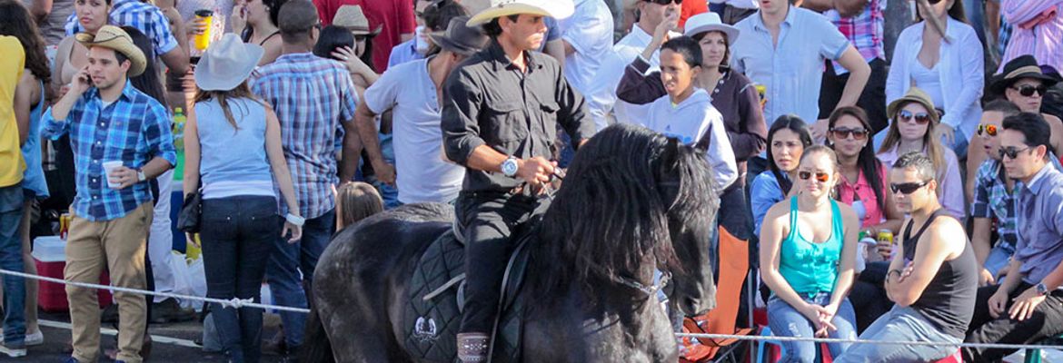 costa rican cowboy on black horse tope 2013