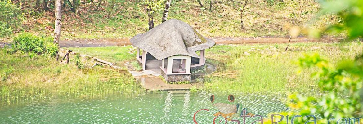 resting stop to view juncos lake from view point horseback ride los lagos