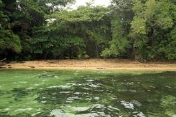 caribbean adventure snorkeling dolphin watching secluded beach 2