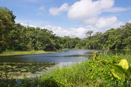 placid los patos lagoon eye level view at arenal volcano 1968 eruption site lookout point