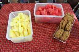 fruit and oatmeal cookies wingnuts tour 8