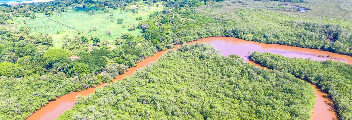 aerial view tamarindo estauary canal loop and playa grande front