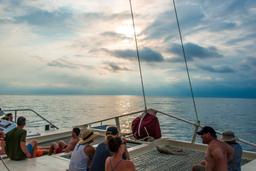 sun rays reflected on the ocean surface marlin del ray catamaran