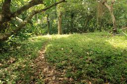 caribbean adventure snorkeling dolphin watching trail 6