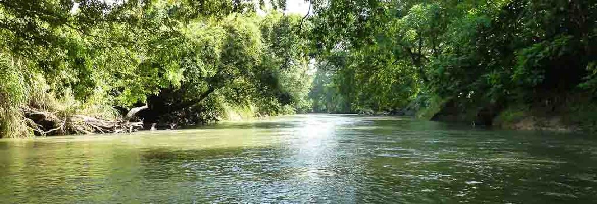 Water flows through the Peñas Blancas, named after the White Cliffs it passes by, on March 11, 2013. The river is a natural wildlife corridor protected by the Costa Rican government.