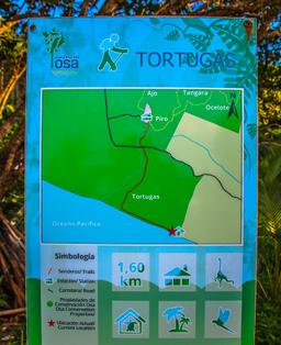 map turtle hatching at piro beach costa rica 14 2
