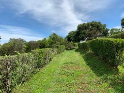 adjacent lots available in up in the hills of heredia buy one or all view 003