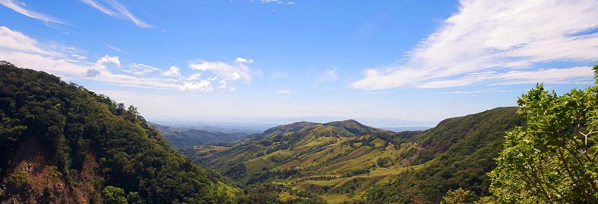 mountain monteverde cloud forest reserve 8