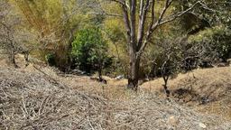 70 apartment low income family development in heredia view 012