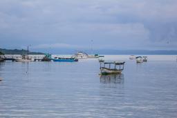 boats moored on puerto jimenez pier platanares mangroves in puerto jimenez