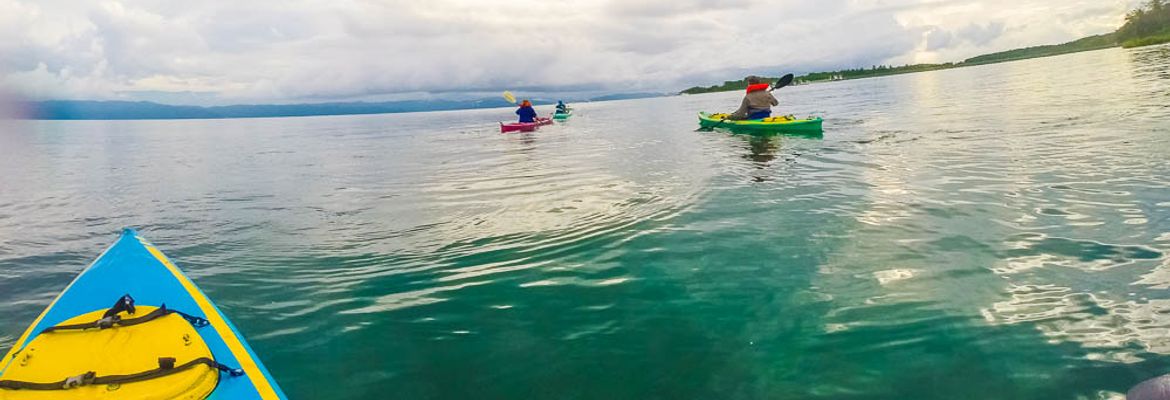 starting off the puerto jimenez beach kayaking platanares mangroves in puerto jimenez