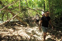 cahuita national park snorkeling hiking tour hiking 7