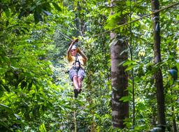 guy zip lining osa palmas canopy tour