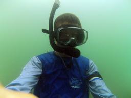 whale tail kayak tour underwater 5