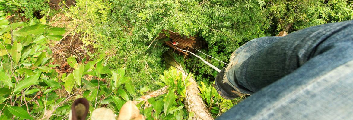 flight of the toucan tree climb combo tour top 1